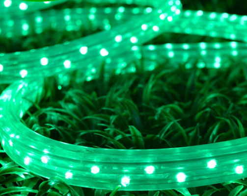 3 तार फ्लैट एलईडी प्रकाश स्विमिंग पूल रस्सी प्रकाश