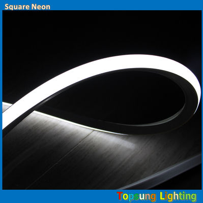 आउटडोर के लिए अद्भुत उज्ज्वल वर्ग 127v 16*16m सफेद एलईडी नीयन प्रकाश
