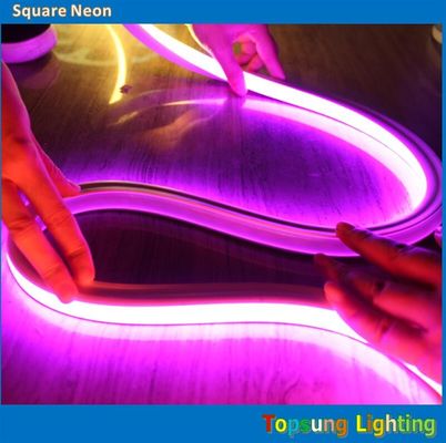 कमरे के लिए 2016 नई गुलाबी वर्ग 12v 16*16m एलईडी नीयन फ्लेक्स प्रकाश