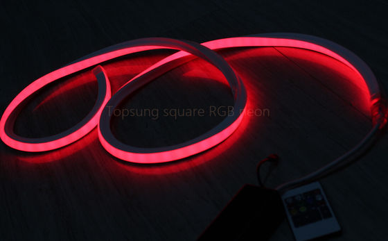 गर्म बिक्री चौकोर लाल 24v 16*16m सजावट के लिए एलईडी नीयन फ्लेक्स प्रकाश