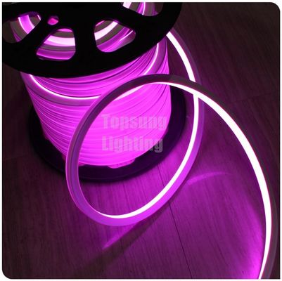 इंजीनियरिंग परियोजना अनुप्रयोग के लिए उच्च गुणवत्ता वाले वर्ग एलईडी नियोन फ्लेक्स 12 वी बैंगनी गुलाबी रस्सी रोशनी