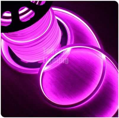 कमरे के लिए 2016 नई गुलाबी वर्ग 12v 16*16m एलईडी नीयन फ्लेक्स प्रकाश