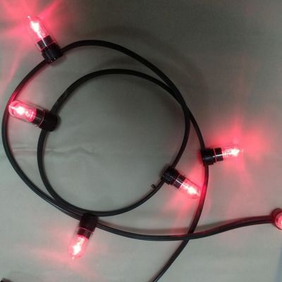 12 वी कम शक्ति एलईडी क्लिप लाइट 100 मीटर / रोल क्रिसमस रोशनी एलईडी स्ट्रिंग रोशनी लाल चावल स्ट्रिंग 666 बल्ब